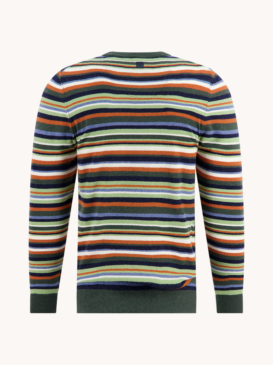 A Fish Named Fred Trui striped Multicolor Green