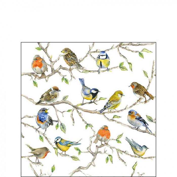 Servetten birds meeting 25x25