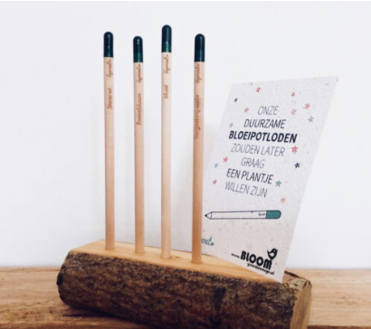 Bloom tijm bloeipotlood