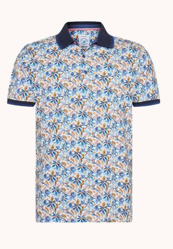 a Fish named Fred, Monkey, Cobalt