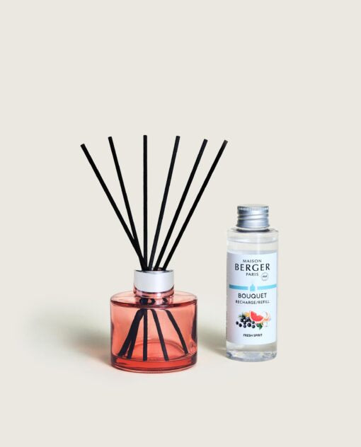 Maison Berger Sticks mini Esteval