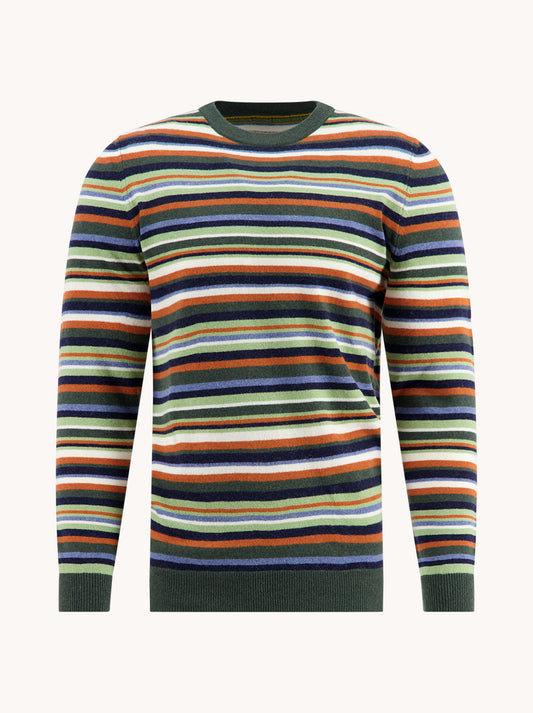 A Fish Named Fred Trui striped Multicolor Green