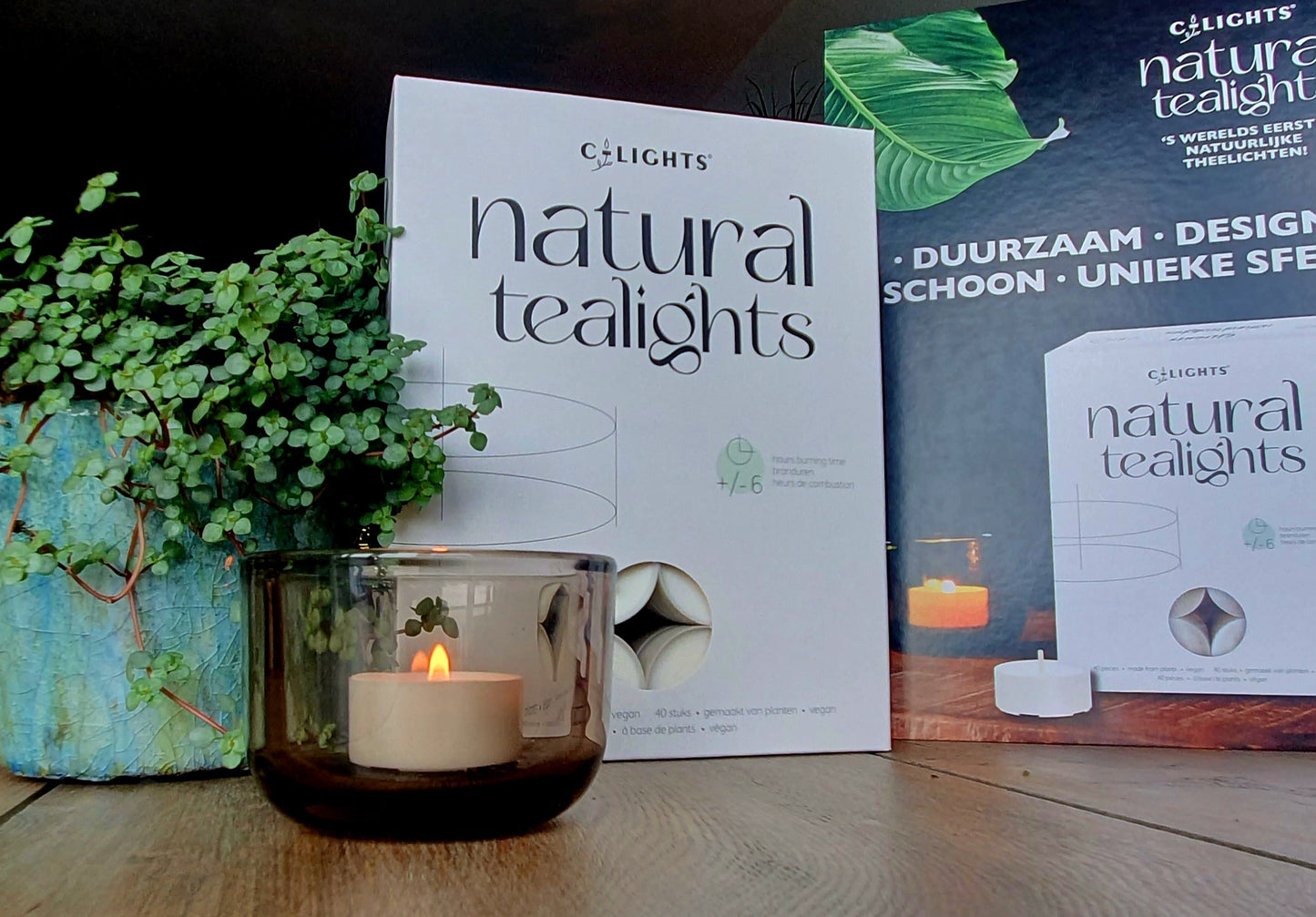 C-lights natuurlijke theelichten | 100 stuks | Vegan | 6 branduren