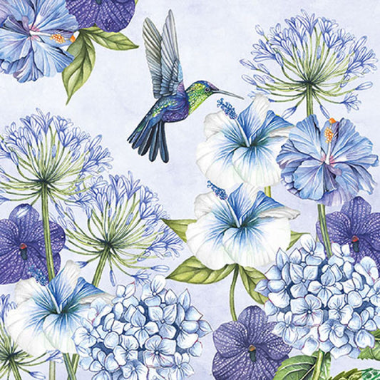 servetten hummingbird
