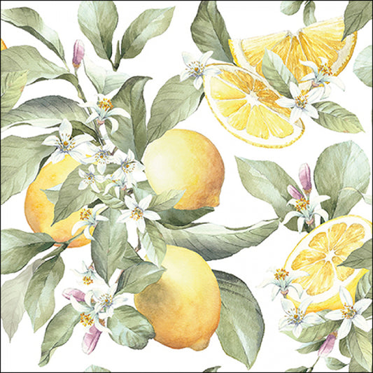 servetten limoni 33x33